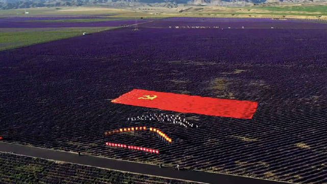 1625196252614814.jpg ccd4c10115cc02f8631a5bffd5dbee61.jpg